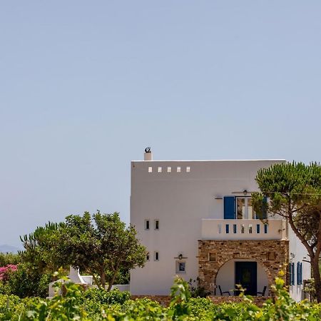 Oneiric Harmony Villa Mikri Vigla Exterior photo