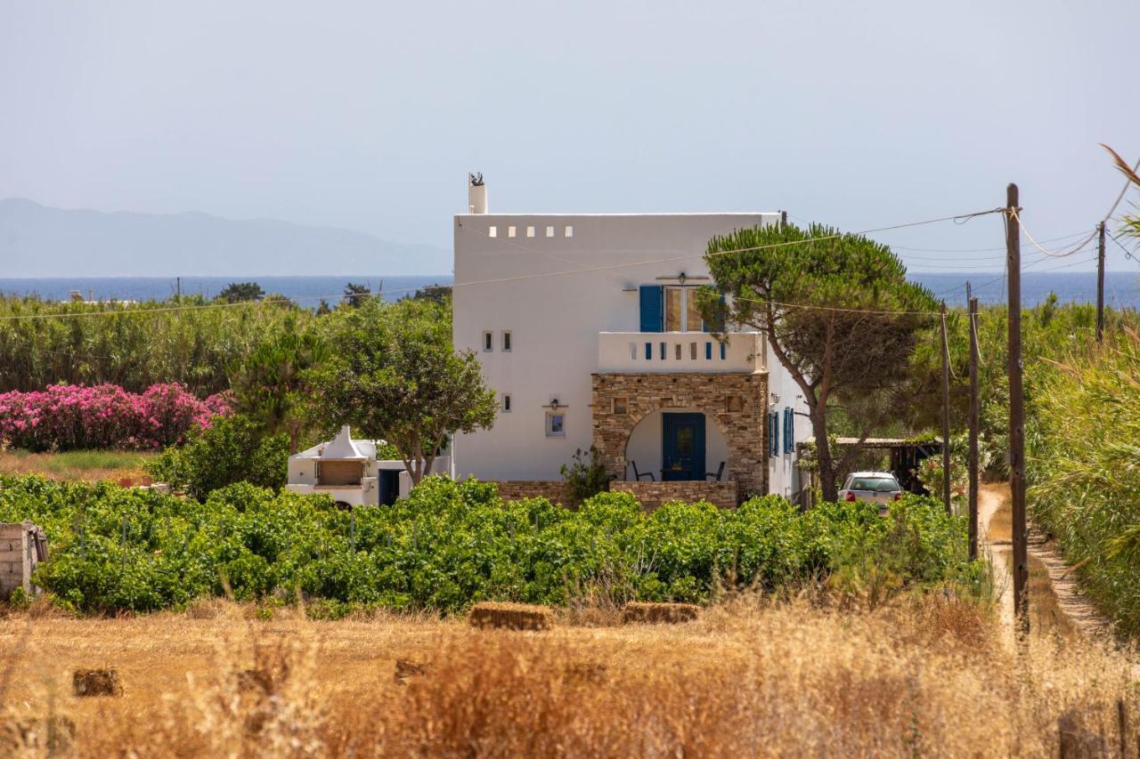 Oneiric Harmony Villa Mikri Vigla Exterior photo